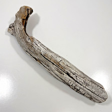 DRIFTWOOD Natural Freshwater TERRARIUM Aquarium DECOR Crafts 14-3/4""