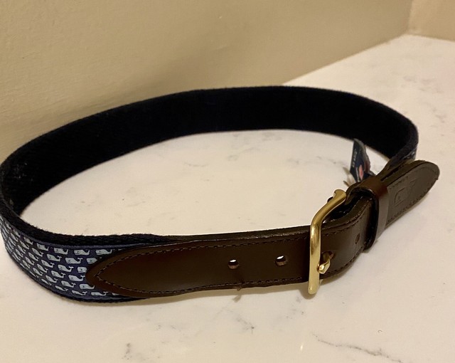 vineyard vines anchor belt
