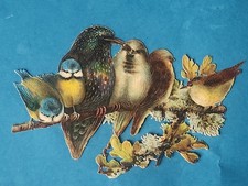 Oblate Glanzbild Scrap Die Cut Chromo DIVERSE VÖGEL AST BLÄTTER um 1890