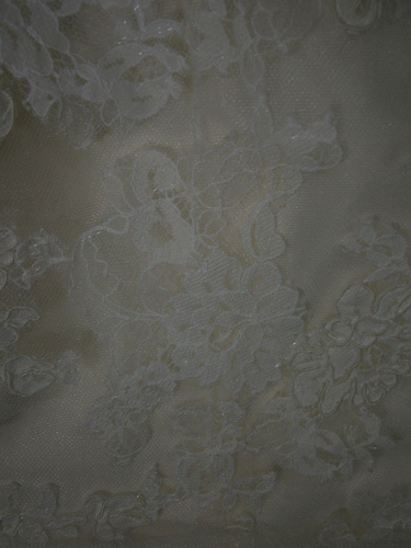Blue by Enzoani Dayton Wedding Dress 12 Lace Tulle Ivory Romantic Dramatic Train - Picture 13 of 18