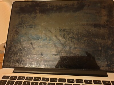 Display Screen Orig Macbook Pro 13'' E 2012 2013 Retina  Assembly komp. A1425 -1