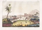Caribbean Sugarcane Plantation Caribbean Slavery Engraving Ferrario 1830