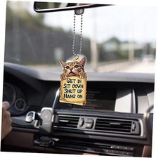 Cat Car Hanging Ornament Rear View Mirror Pendant,Get in Sit Carhanging 1-1