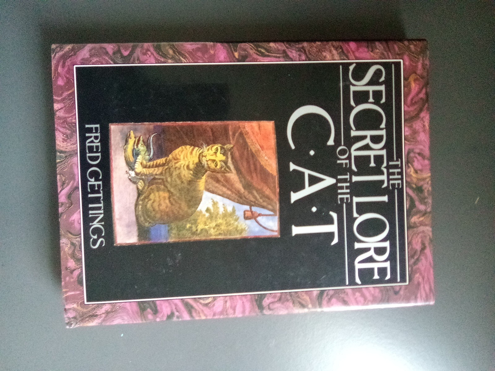 The Secret Lore of the Cat by Fred Gettings Hardcover Book