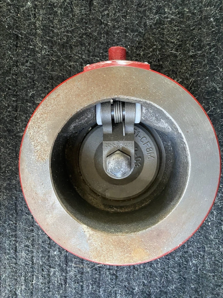 RITEPRO 3” VÁLVULA DE RETENCIÓN OSCILANTE OBLEA ANSI 125, 250 PSI Foto 3 de 4