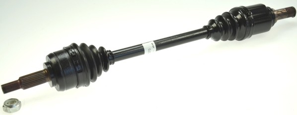 Picture 4