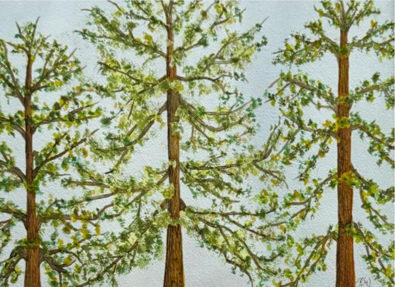 PAINTING WATERCOLOR TREES SPRING LANDSCAPE ART 11X14 AND WHITE MAT 16X20 ART