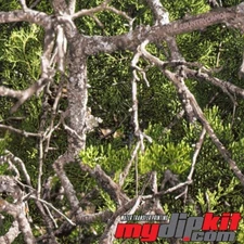 Hydrographics Film Hydro Dipping Water Transfer Print Film RC-193 Deadwood Cedar