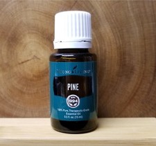 Young Living NEW Pine Essential Oil 15 ml FREE SHIPPING  