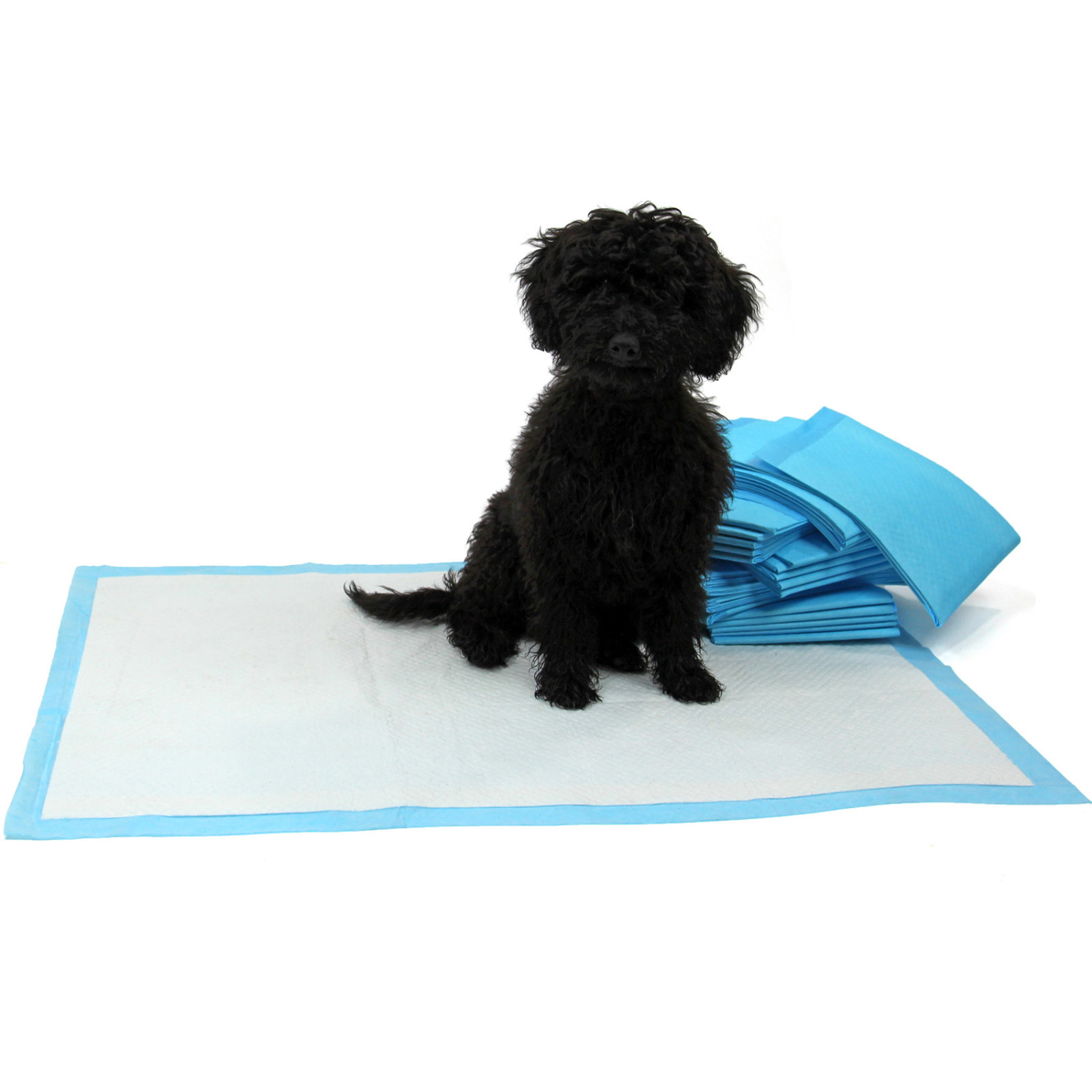 100 Cuscinetti XL per Cuccioli Cani Animali Domestici Toilette Casa Addestramento 60x90cm Wee Vasino Pipì Tappetini Gatto
