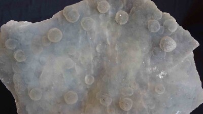 SUPERB FORMATION OF CHALCEDONY BALLS ON BASE # 205