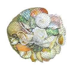 wicker basket with assorted Seashell Art Decor