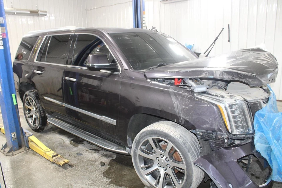 2015 Cadillac Escalade Left Front Door Panel Trim Brown Used 391451 Foto 3 de 4