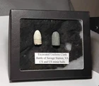 2 Civil War Relic Bullets in an excavated Union piece of cloth, 1 CS  & ! US