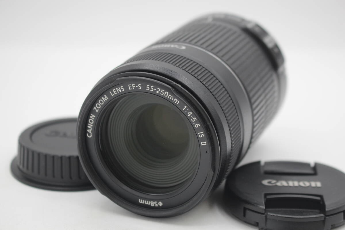 Canon EF-S 55-250mm F4-5.6 IS II Telephoto Zoom Lens in Excellent Used Condition
