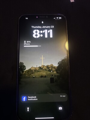 iPhone 12 Pro Max Unlocked 256 Gb With TikTok 