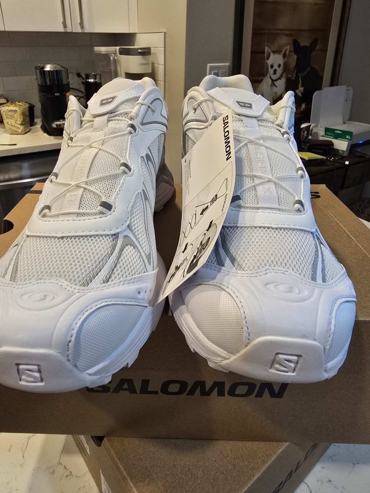 Salomon XT-Whisper White Lunar Rock Footwear Silver Men's Size 10 L47761900 NEW