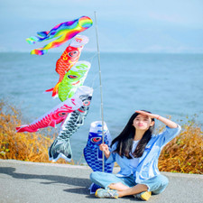 40cm Japanese Windsock Carp Flag Koi Nobori Sailfish Fish Wind Streamer