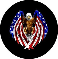 American Eagle flag Wings tire cover Access A...