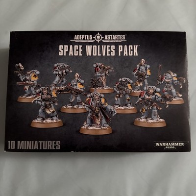 Warhammer 40k Space Wolves Konvolut / Miniaturen Grey Hunters Upgrades Codex...