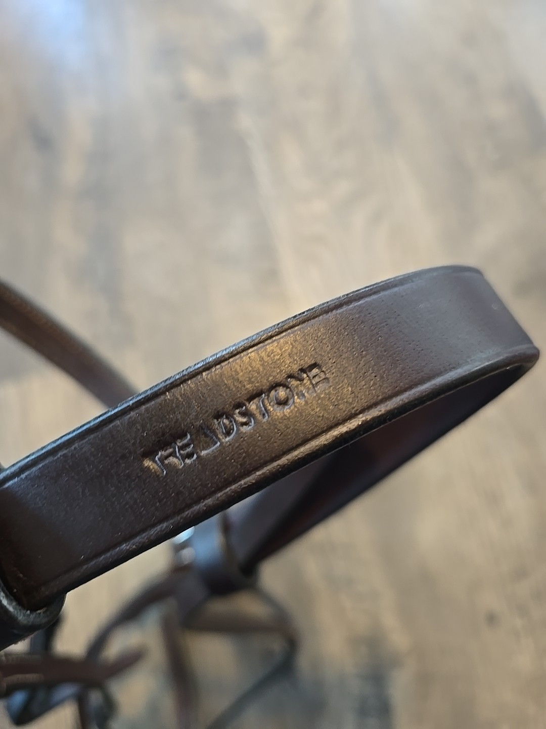 fancy stitched bridle