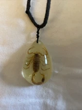 Scorpion necklace