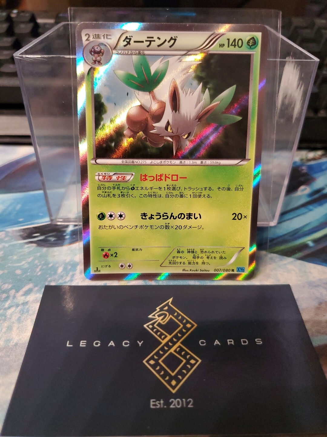 (JP) Shiftry 007/080 R - XY2 Wild Blaze 1st Edition Holo - Pokémon TCG (NM)