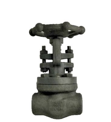 Bonney Forge HL13-NACE / 3/4'' 800 SW Forged Steel Gate Valve Forged Steel