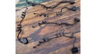 <!--F#f_0-->HOLDEN COMMODORE VK DASH CLUSTER WARNING LIGHT WIRING LOOM HARNESS<!--F/-->