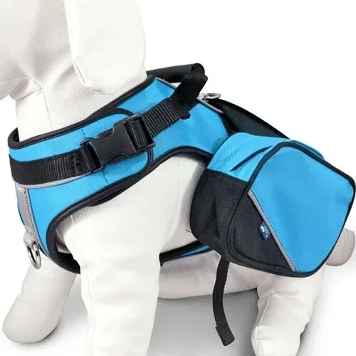 Wacky paws clearance