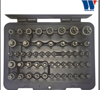 Werkzeug - T-Star Torx, E Type, Plus & Manipulationssicher, 52-teiliges Master Set - 1165
