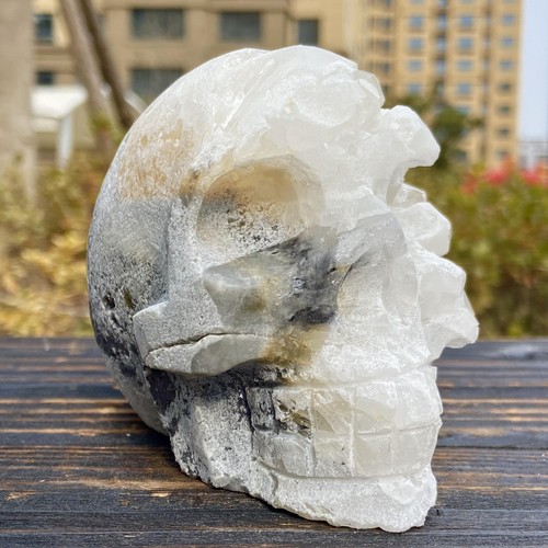 1.81LB Natural White Crystal Cluster Point Quartz Gemstone Carved Skull Healing - Picture 5 of 12