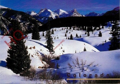 Postkarte:: Colorado, verstreute Kiefern auf schneebedecktem Hügel nahe Molas-Scheide