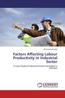 Muhammad Sajid | Factors Affecting Labour Productivity In Industrial Sector
