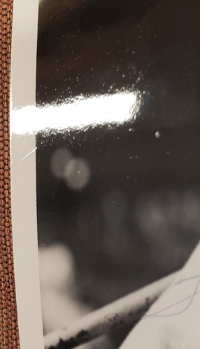 Dom DiMaggio Johnnie Hopp Auto Red Sox 1940er Baseball 8x10 Vintage Foto JSA - Bild 6 von 10