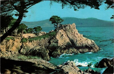 Monterey, CA Midway Point Overlooking Carmel Bay Cypress Tree Postcard G457