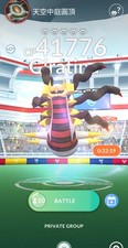 2x Pokemon Palkia Raid RD GO
