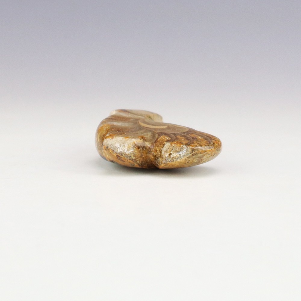 NATIVE AMERICAN ZUNI AMMONITE BEAR FETISH BY KENRIC LAIWAKETE