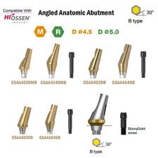 Angulated Anatomic abutment 17 Mini/Regular B Type for Hiossen Osstem TS Implant