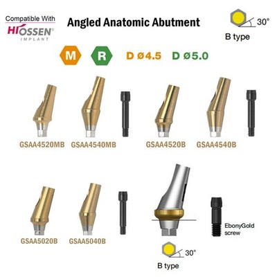 Angulated Anatomic abutment 17°Mini/Regular B Type for Hiossen Osstem TS Implant
