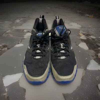 Reebok Men s Zig Size 11