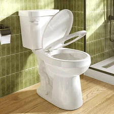 HOROW 2 Piece Toilet Round/ Elongated Front 1.28GPF Single Flush ADA Seat Height