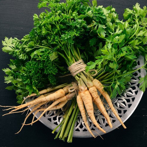 1/4 Lb Hamburg Rooted Parsley Seeds - Everwilde Farms Mylar Seed Packet - Picture 2 of 2