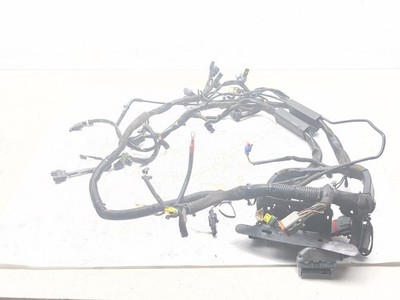 07-17 Harley Softail Fatboy FLSTF Main Wiring Harness Wire