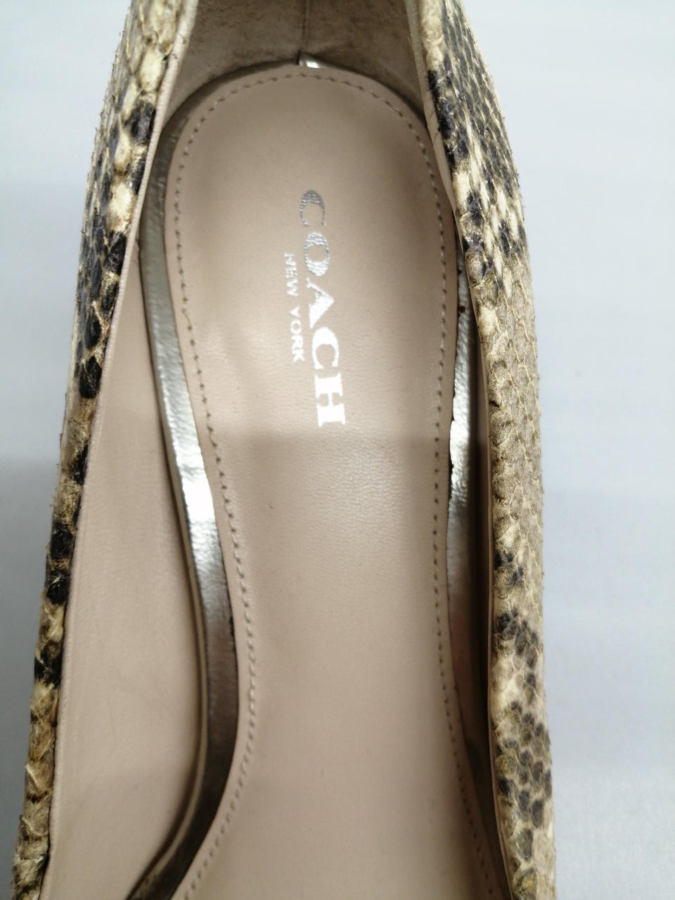 Coach Python Pattern 26.5Cm Pumps High Heels FY274 - image 8