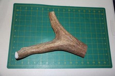 Jumbo Elk Antler 2 dog chew Mid Beam piece / chews deer chew XXL XL 1220