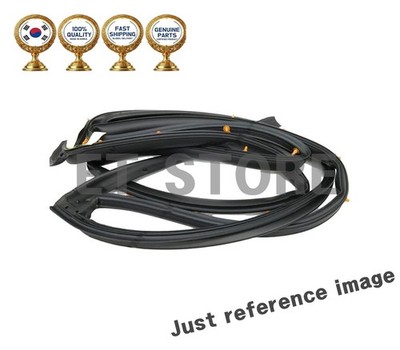 Genuine 82140 3N000 821403N000 W/STRIP ASSY-FR DR SIDE RH For Equus
