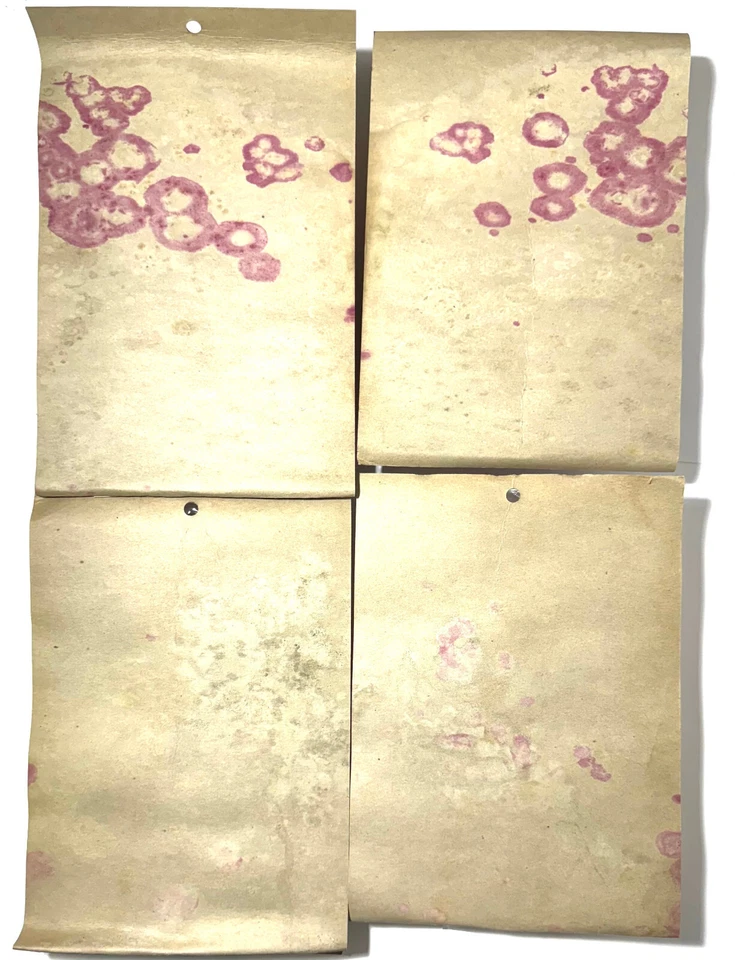 4pc Aurora Model Motoring Lock & Joiner AFX YELLOW GUARD RAIL SET 1232 Stained - Image 2 of 2