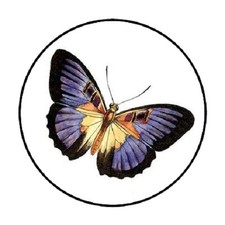 48 Butterfly 1 ENVELOPE SEALS LABELS STICKERS 1.2" ROUND