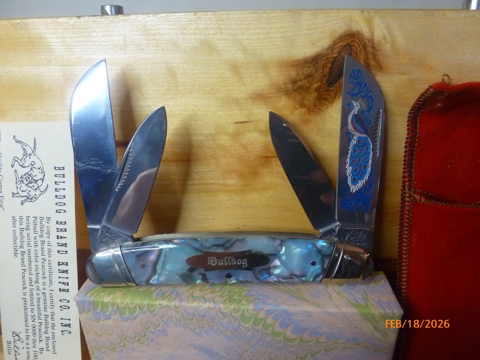 Bulldog Brand Vintage Jumbo 4-Blade Congress Peacock SN 010 of 100 Mint In Box